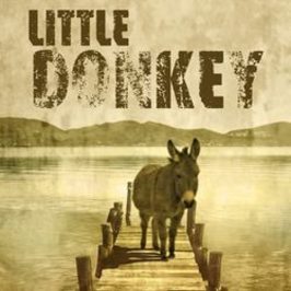 Little Donkey