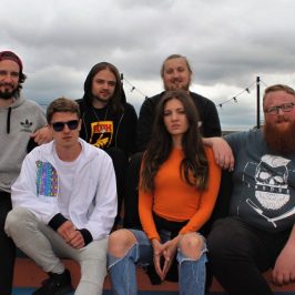 Top Cat Collective