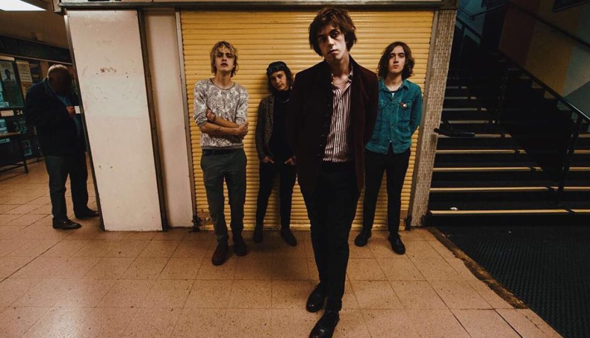 The Shrives