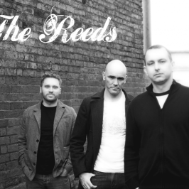 The Reeds