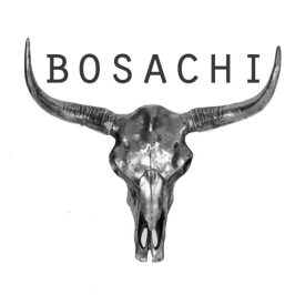 Bosachi