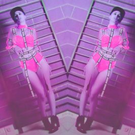 Venus XTC