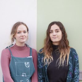 Sunflower Thieves