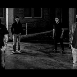 GallahersGreen-large