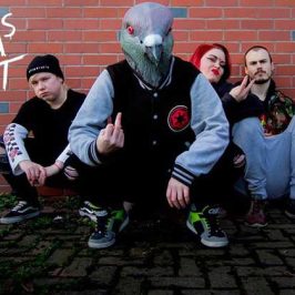 PigeonsPocket