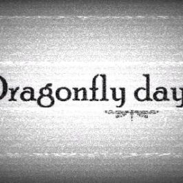 Dragonfly days